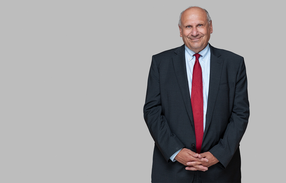 Standing photo of Litigation attorney Dan Rapaport